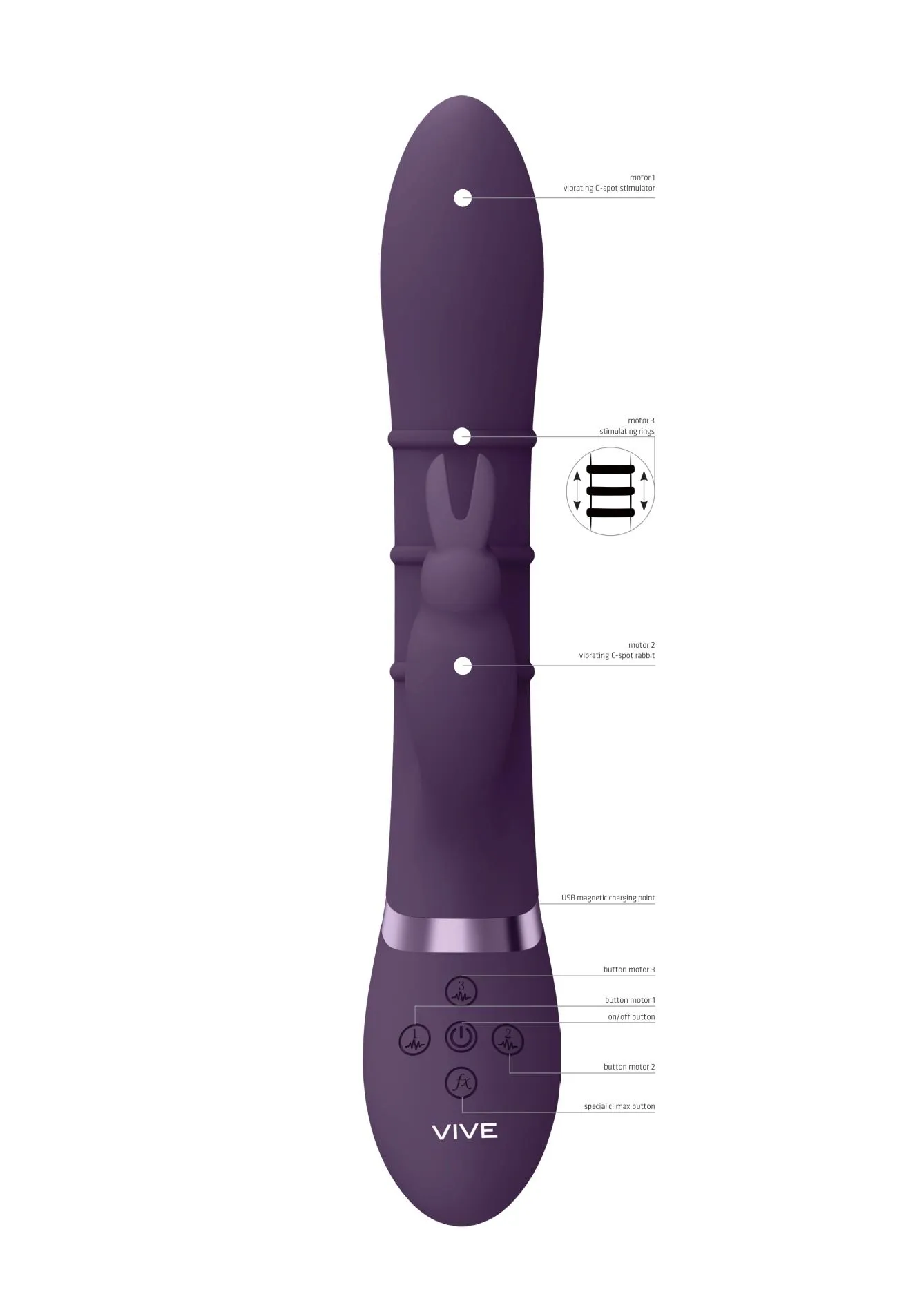 Vive Sora - Wibrator królik, Fioletowy, 24.2 cm