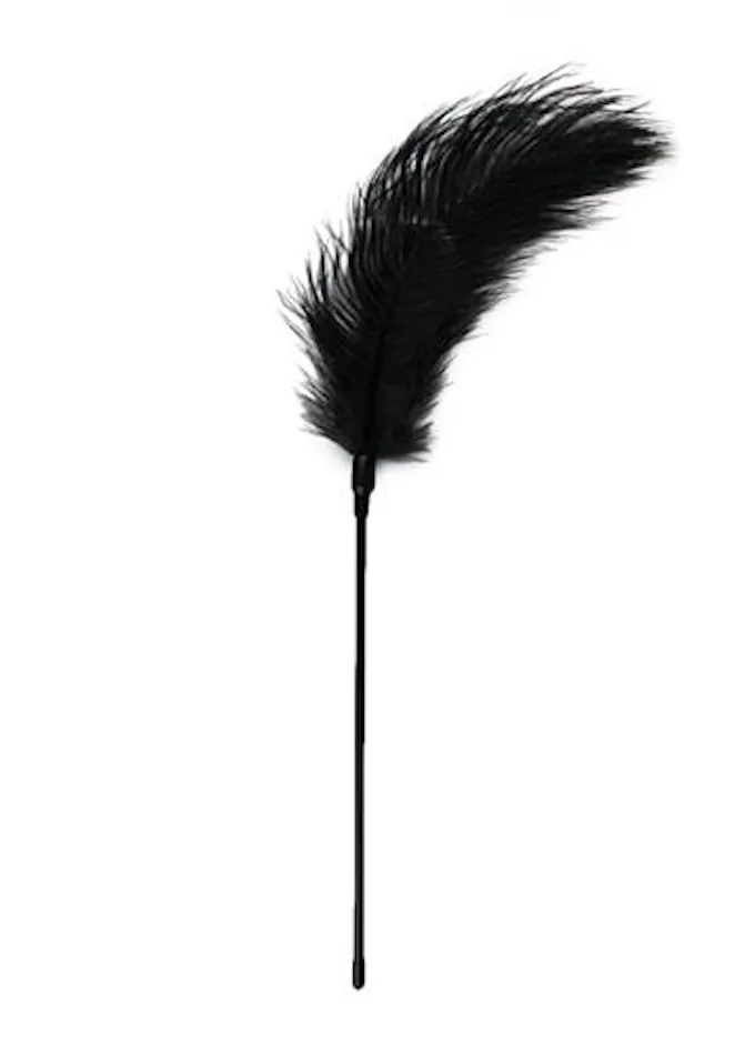 Easytoys Fetish Feather Tickler - Tikler-pióro, Czarny, 55 cm