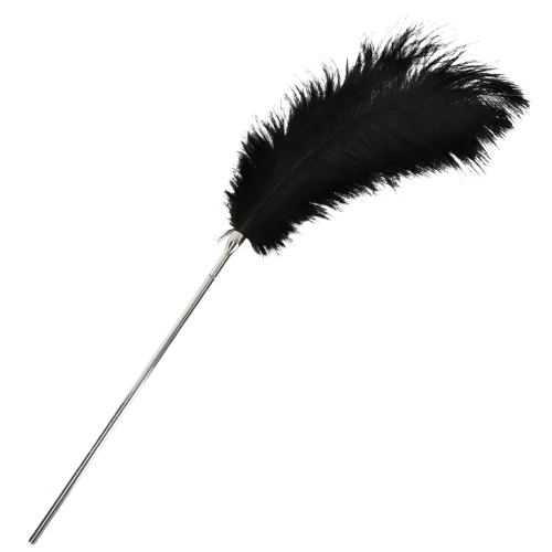 Тиклер-перо Taboom  Feather , 19 см (черный)