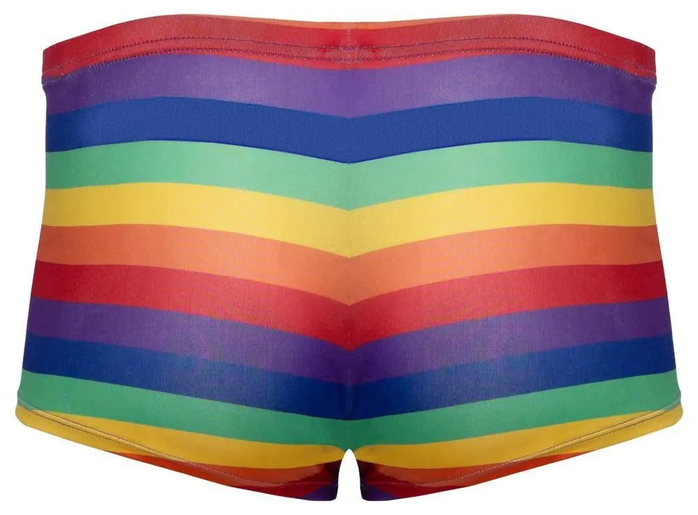 Мужские трусы Svenjoyment Rainbow, L (мульти)