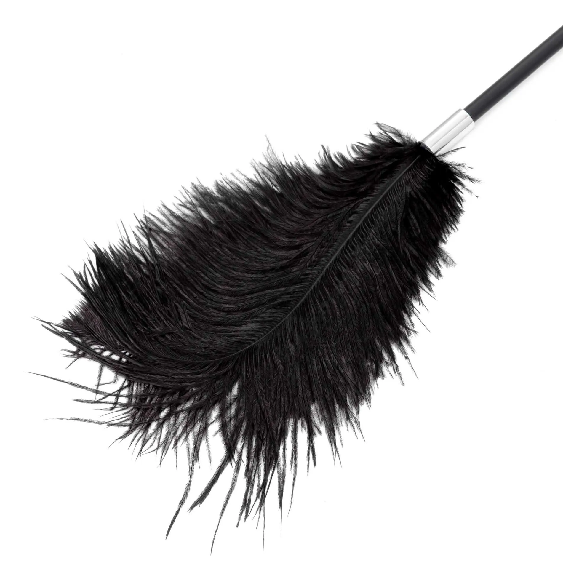 Fetish B - Series Tickler & Whip 1.0 - Szpicruta, Czarny, 43.5 cm