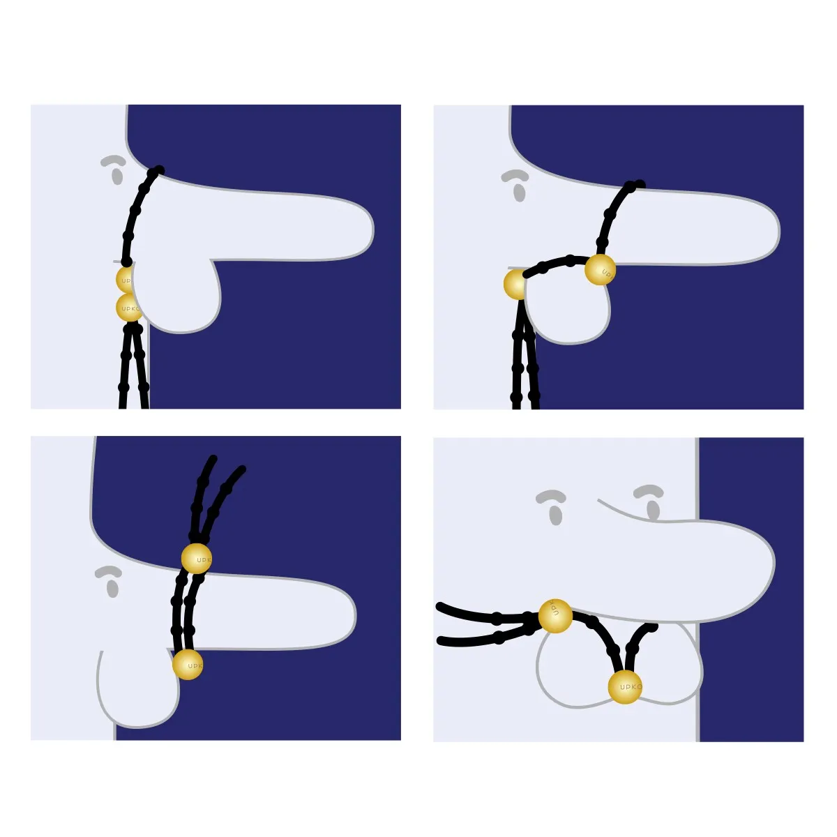 Эрекционное кольцо Upko Adjustable (черный)
