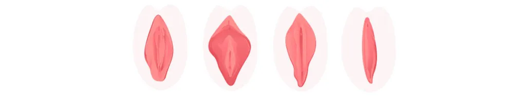 v4.jpg