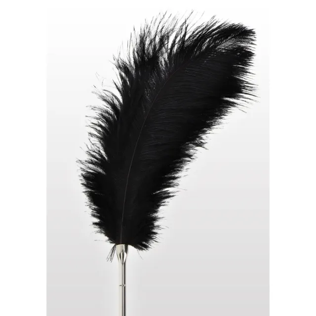 Тиклер-перо Taboom  Feather , 19 см (черный)