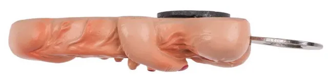 Grajmy razem Metal Bottle Opener Willy + Hand - Otwieracz, W kolorze cielistym, 13 cm