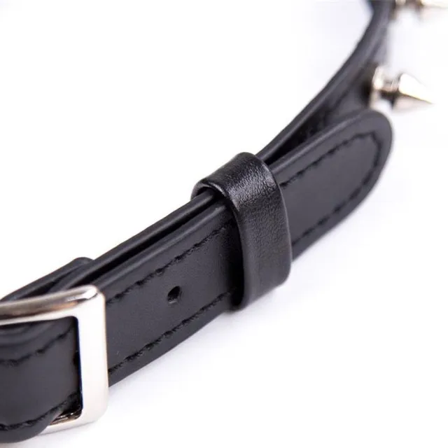 Ошейник с шипами Fetish Addict Collar With Spikes, 43 см (черный)