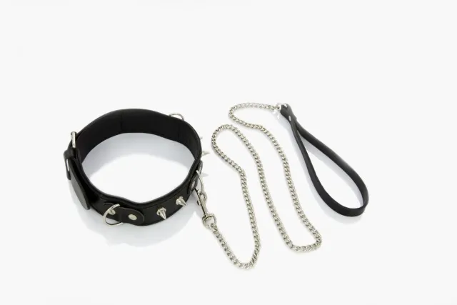 Ошейник с поводком Whips Collections (черный)