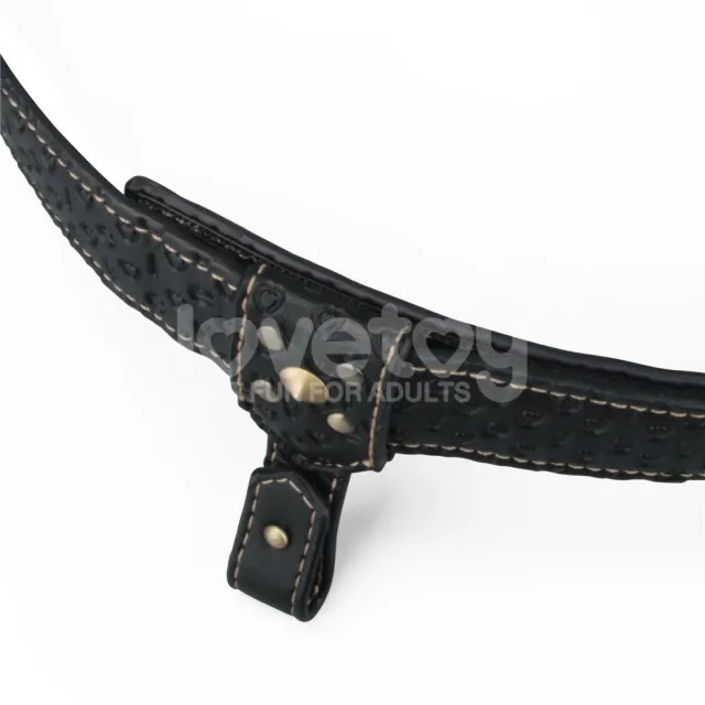 Сбруя Rebellion Reign Strap-On Harness (черный)