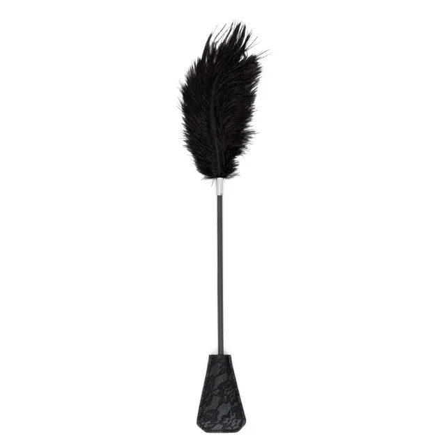 Fetish B - Series Tickler & Whip 1.0 - Szpicruta, Czarny, 43.5 cm