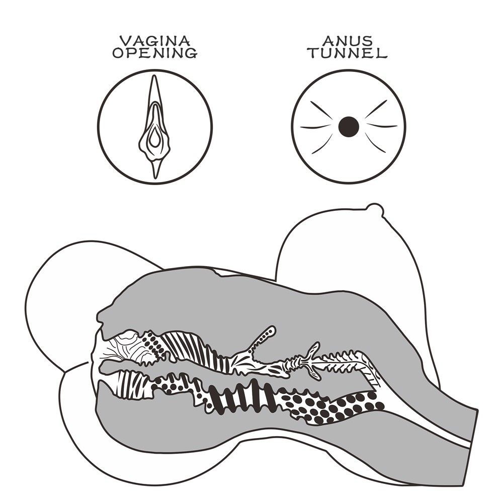 Реалистичный мастурбатор Lovetoy Streetgirl's #6 (телесный)