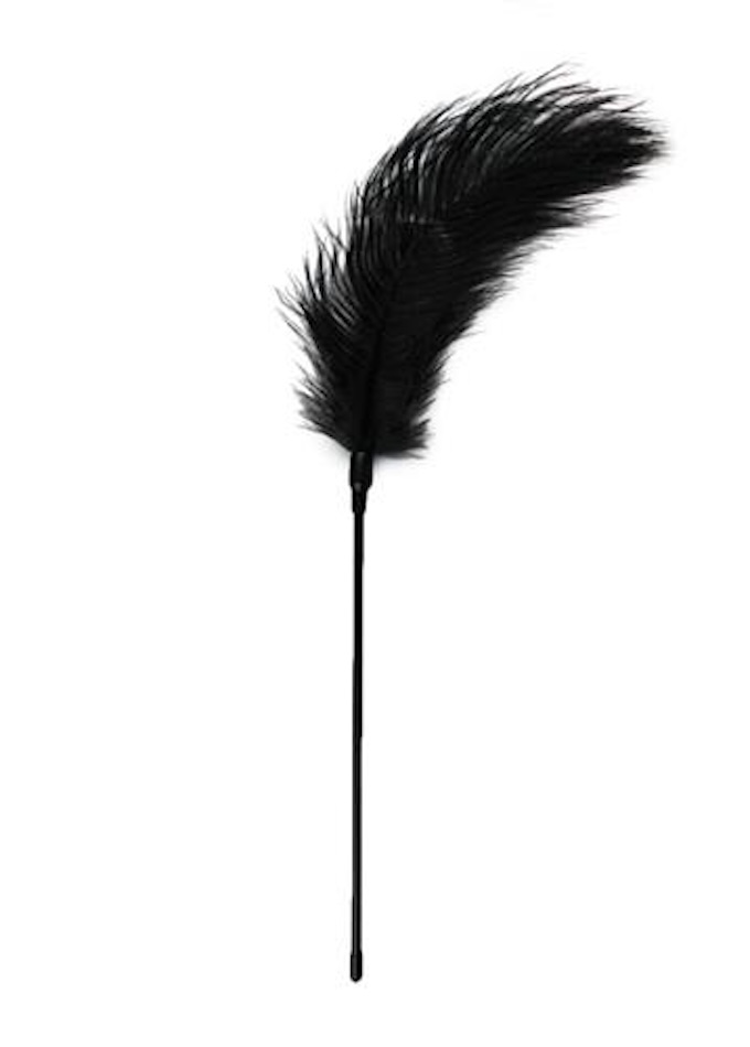 Тиклер-перо Fetish Feather Tickler, 53 см (черный)