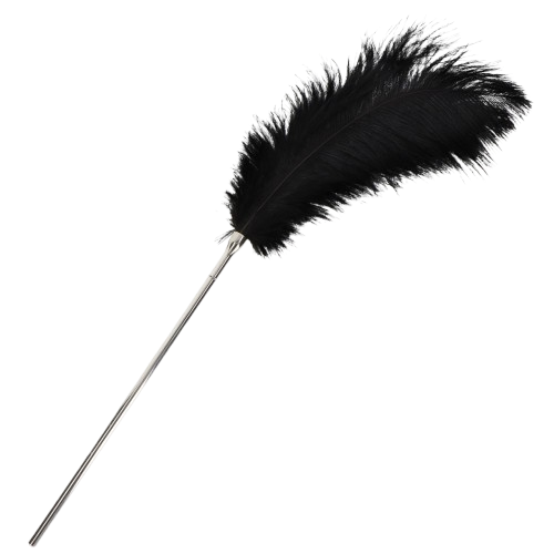 Тиклер-перо Taboom  Feather , 19 см (черный)