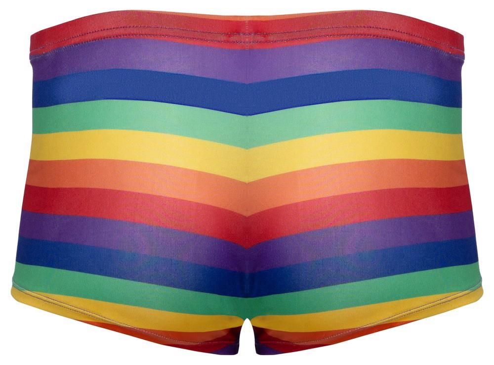 Мужские трусы Svenjoyment Rainbow, L (мульти)