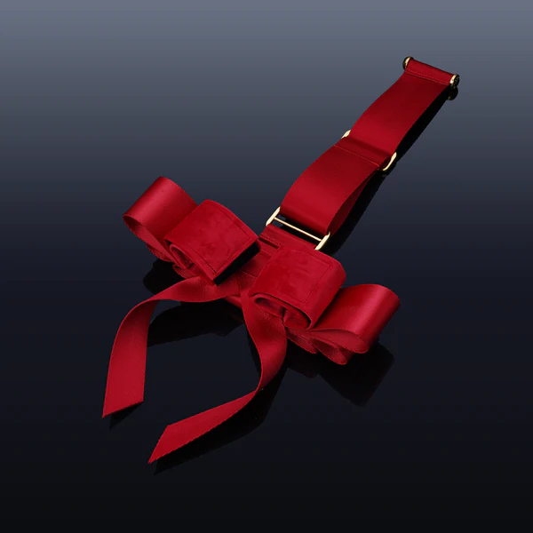 Фіксатор для рук на двері Upko Portable Bowknot Over-the-door Hand Restraint Gear (червоний)