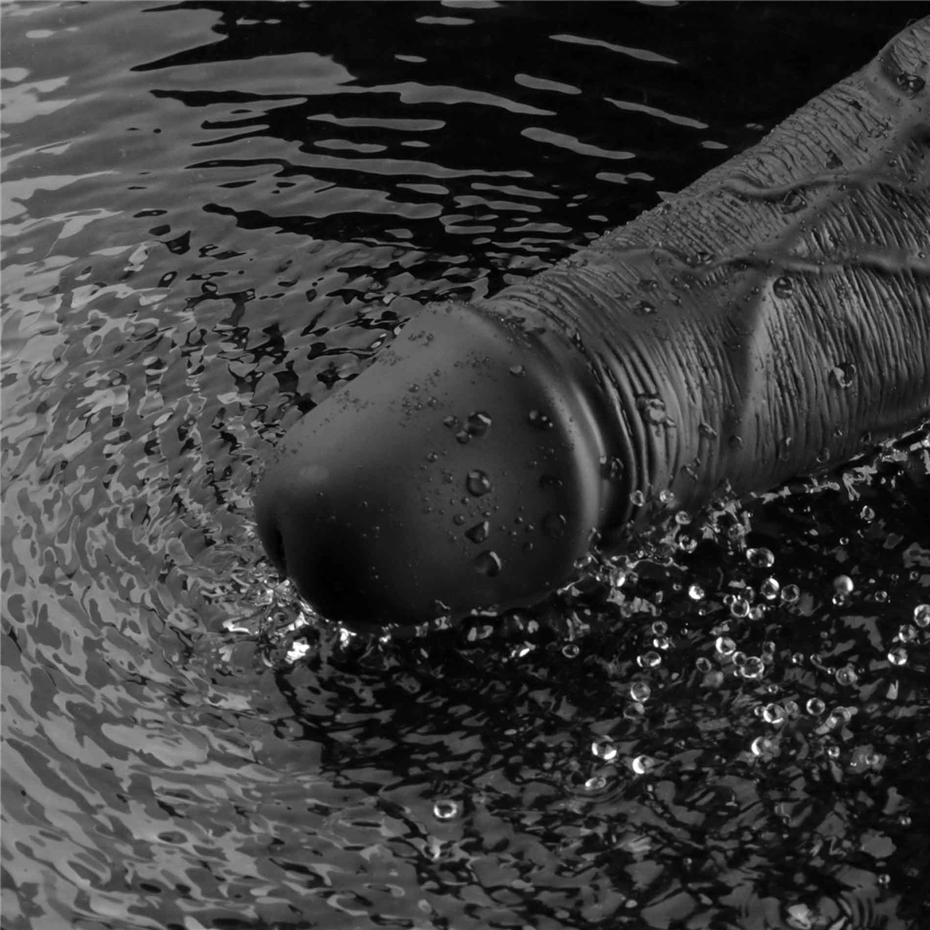 Vibrator Lovetoy Real Softee 10", 25.5 cm (czarny)