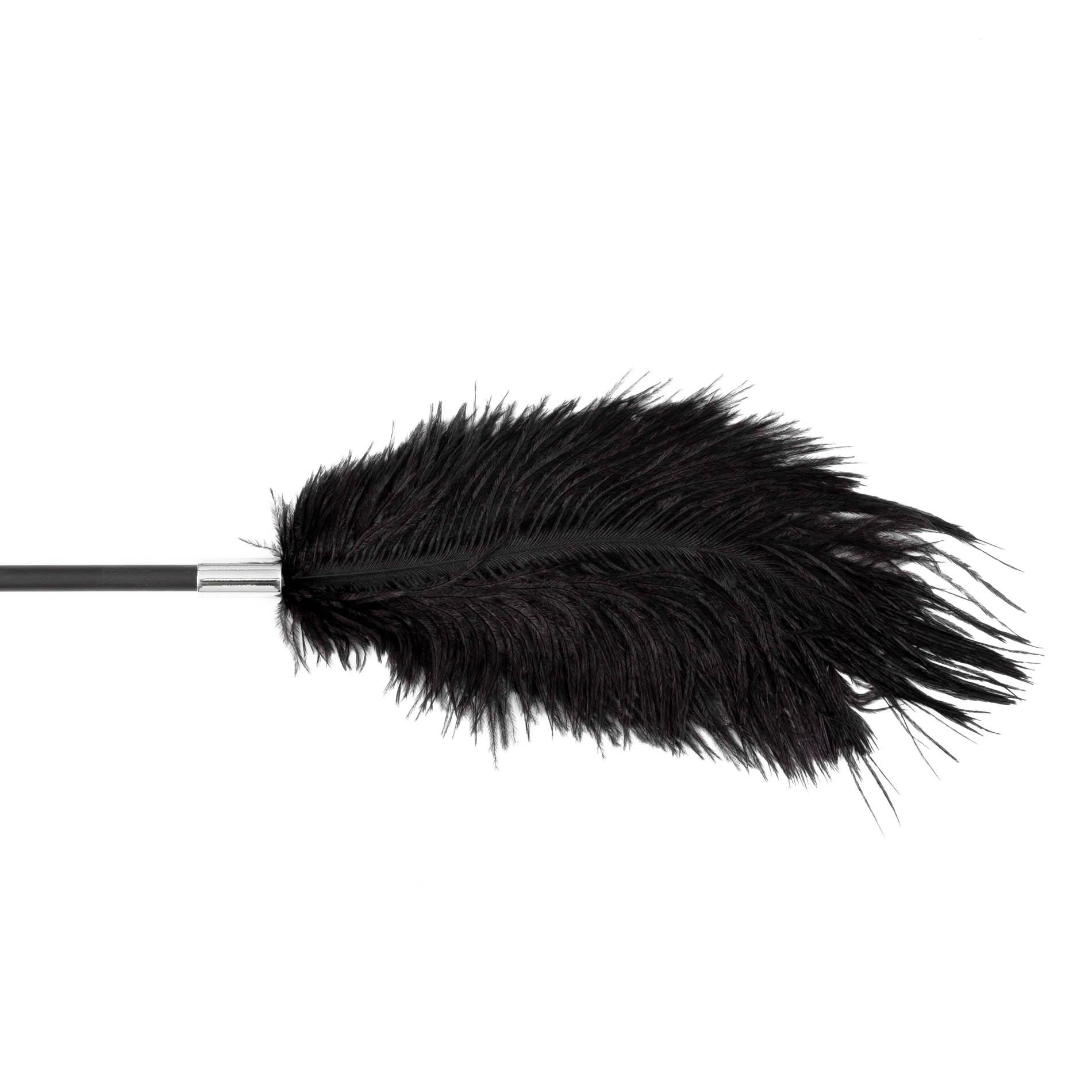 Стек Fetish B-Series Tickler & Whip 1.0, 43.5 см (черный)