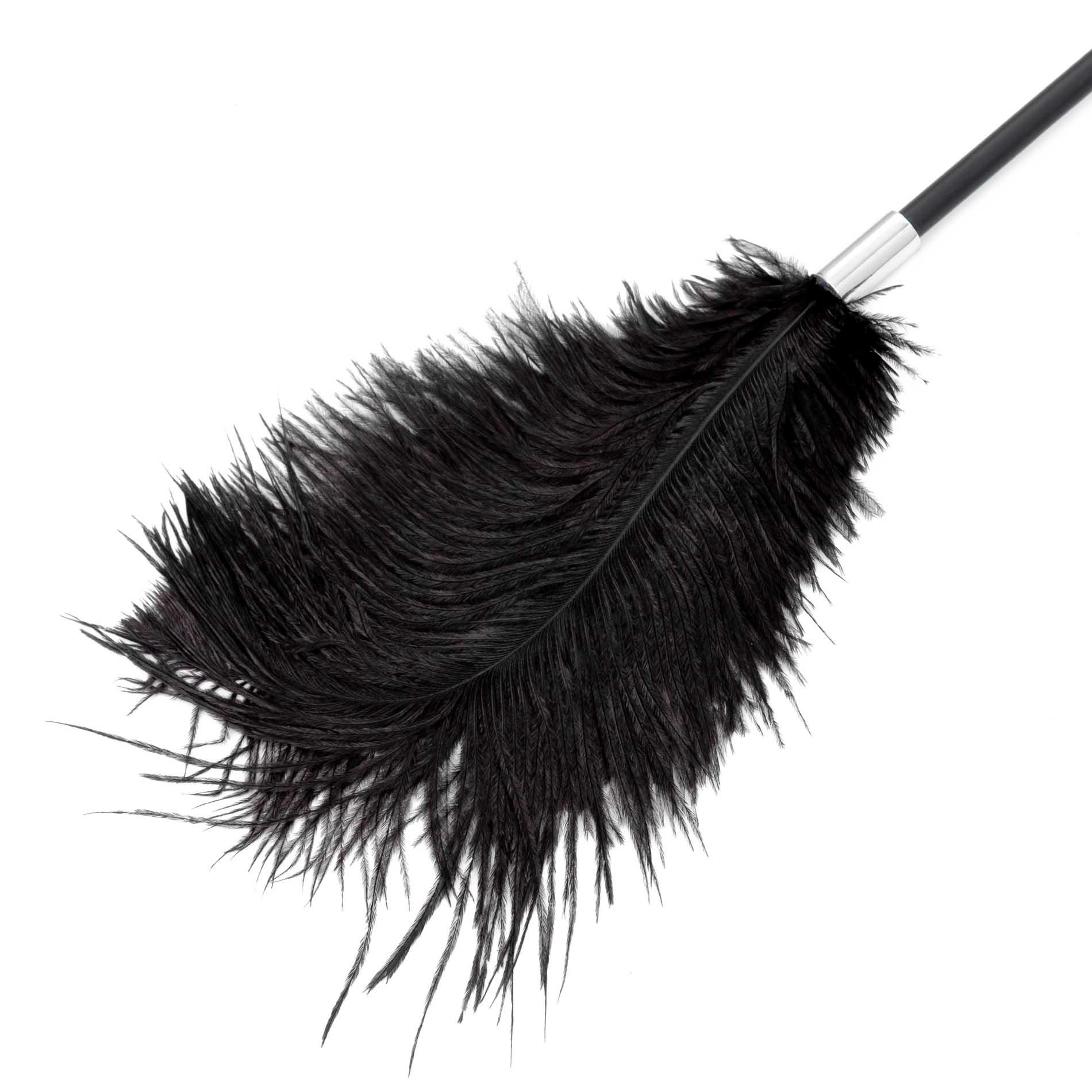 Стек Fetish B-Series Tickler & Whip 1.0, 43.5 см (черный)