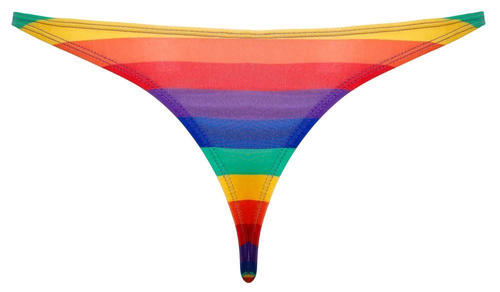 Мужские стринги Svenjoyment Rainbow, L (мульти)