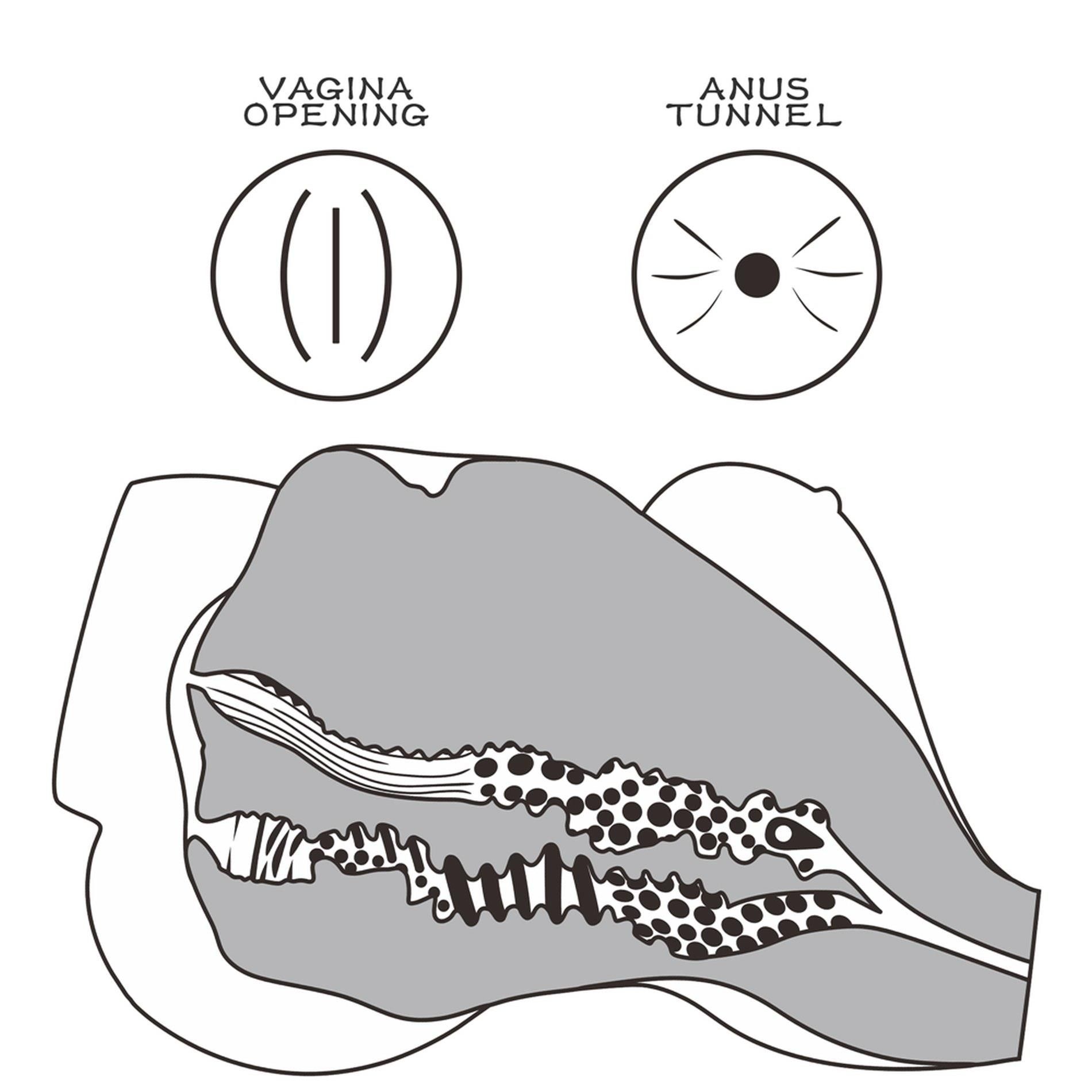 Реалистичный мастурбатор LoveToy Streetgirl's #7 (телесный)