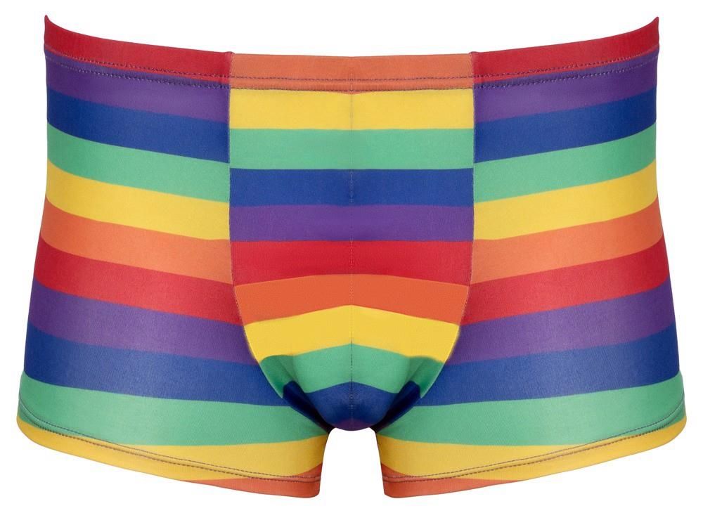 Мужские трусы Svenjoyment Rainbow, L (мульти)