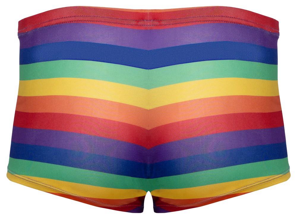 Męskie slipy Svenjoyment Rainbow, M (multi)