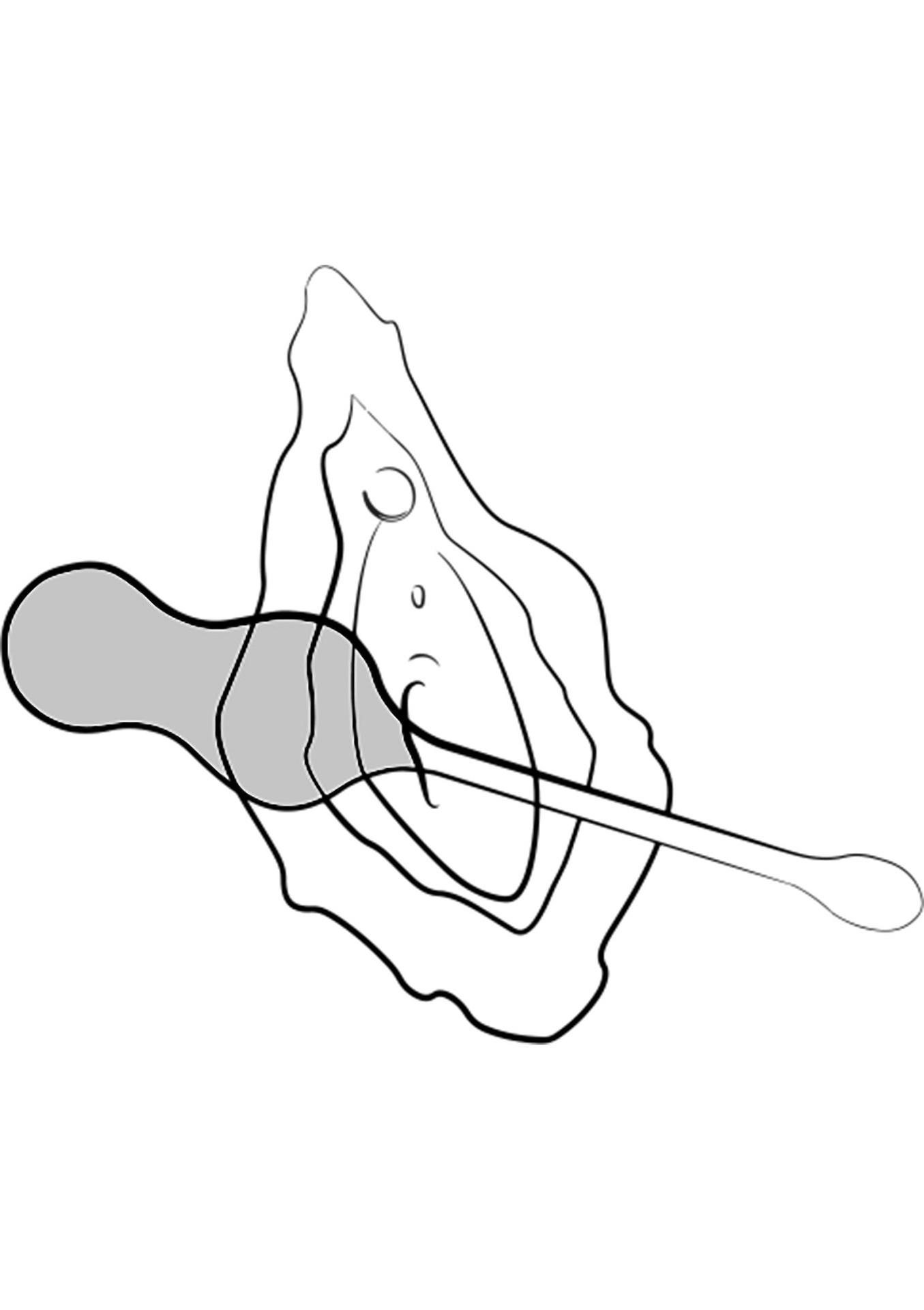 Вагинальные шарики с вибрацией Romp Cello, 18.2 см (бирюзовый)
