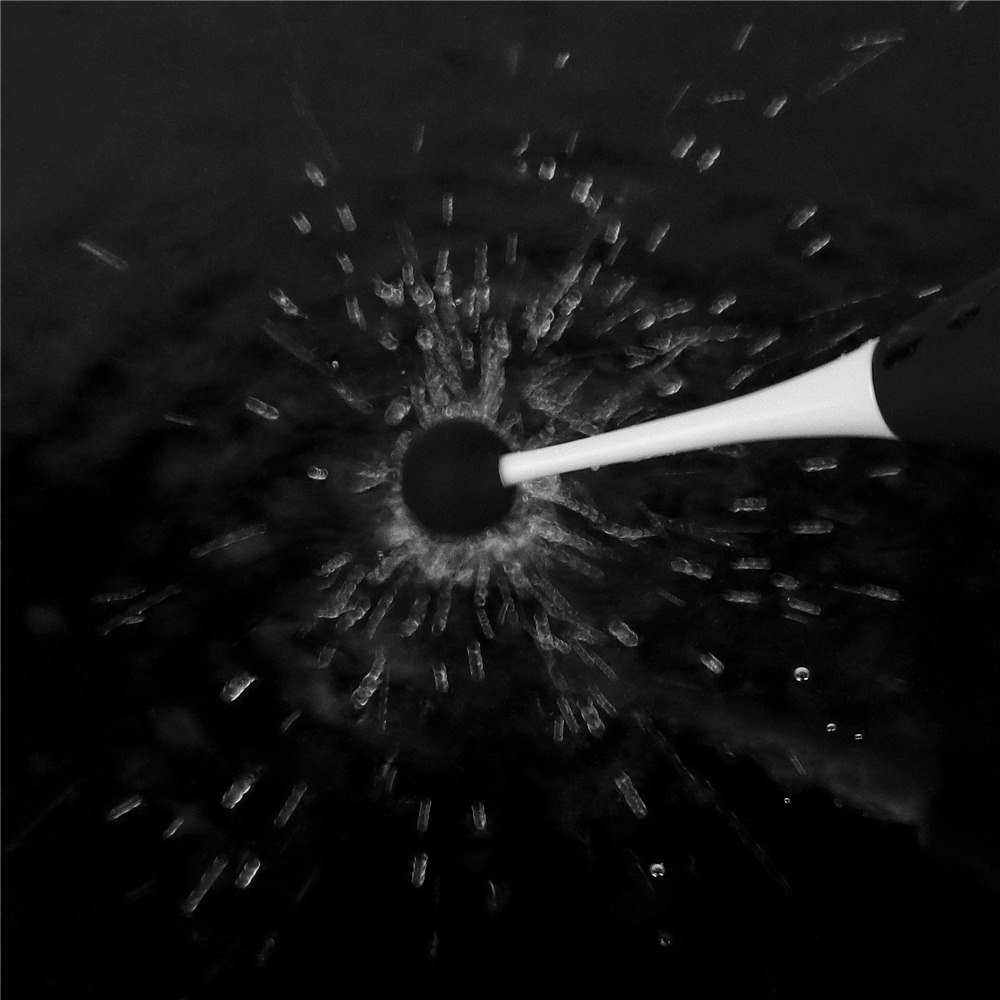 Wibrator łechtaczkowy IJOY Rechargeable Clit Pro, 19 cm (czarny)