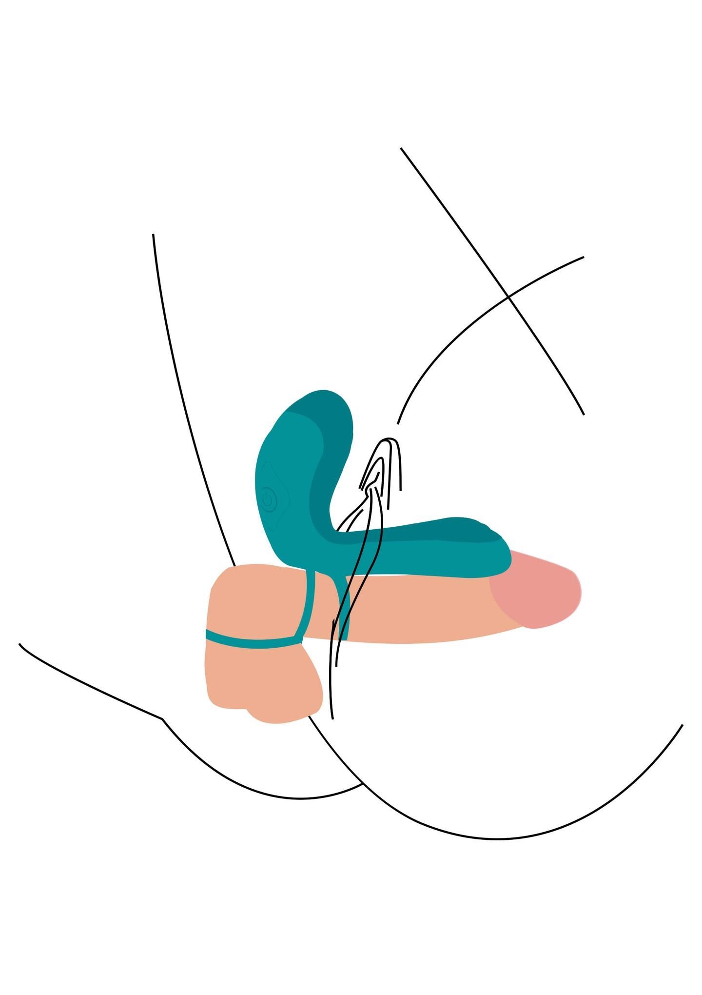 Pierścień erekcyjny Xocoon Couples, 13 cm (zielony)