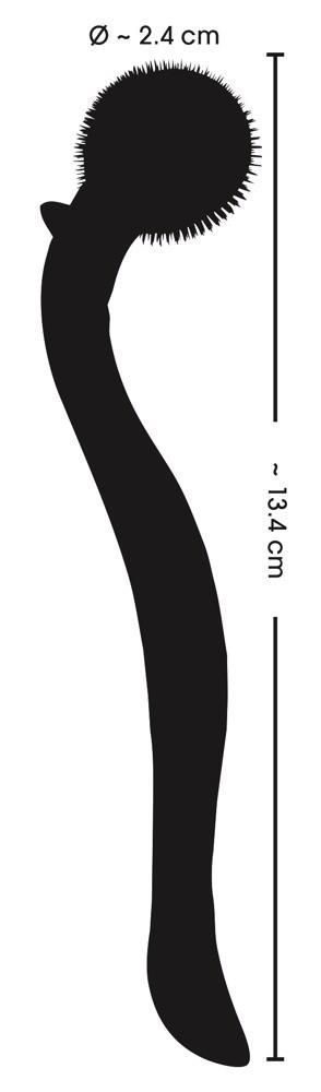 Колесо Вартенберга Fetish Collection Micro Pinwheel, 13.4 см (черный)