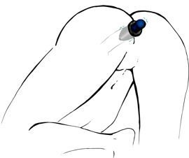 Анальный тоннель Orion Lust Tunnel Plug, 10 см (черный)