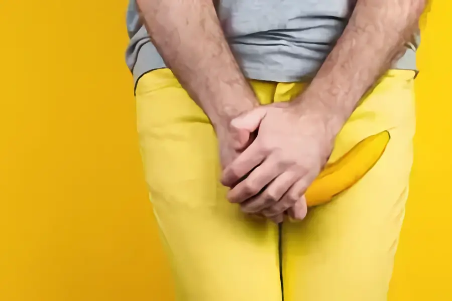 Как происходит эрекция и как она работает: простое объяснение