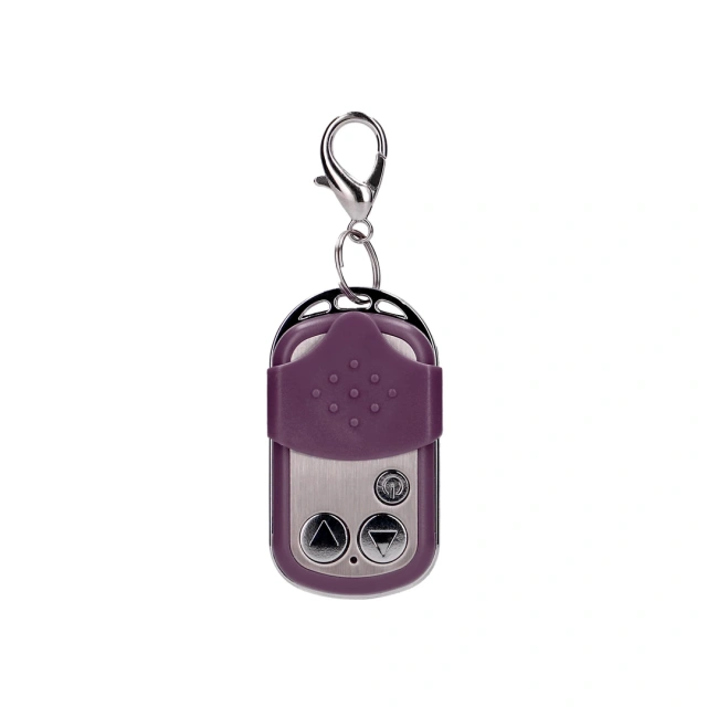 ShotsToys Remote Vibrating Egg - Wibrujące jajko, Fioletowy, 8 cm