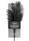 Easytoys Fetish Feather Tickler - Tikler-pióro, Czarny, 55 cm