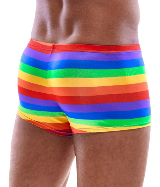 Svenjoyment Rainbow - Męskie slipy, XL