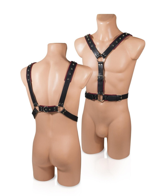Whips Collections 1 - Uprząż, Czarny, One size